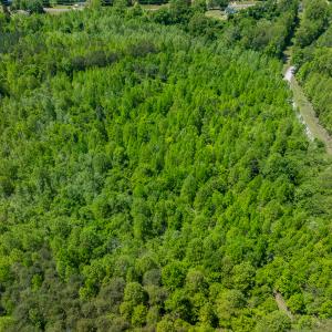 Photo #7 of SOLD property in Lot-3 - Off Wilson Road, Providence, NC 5.0 acres
