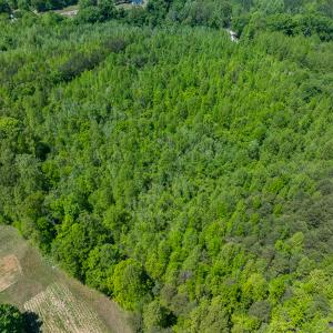 Photo #12 of SOLD property in Lot-3 - Off Wilson Road, Providence, NC 5.0 acres