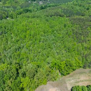 Photo #14 of SOLD property in Lot-3 - Off Wilson Road, Providence, NC 5.0 acres