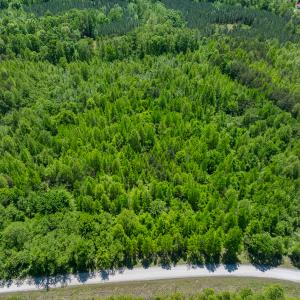 Photo #26 of SOLD property in Lot-3 - Off Wilson Road, Providence, NC 5.0 acres