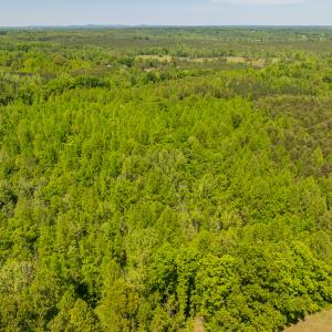 Photo #34 of SOLD property in Lot-3 - Off Wilson Road, Providence, NC 5.0 acres