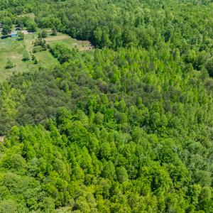 Photo #7 of Lot-4 - Off Wilson Road, Providence, NC 5.7 acres