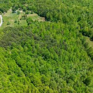 Photo #10 of Lot-4 - Off Wilson Road, Providence, NC 5.7 acres