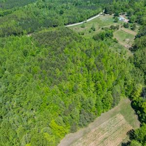 Photo #15 of Lot-4 - Off Wilson Road, Providence, NC 5.7 acres