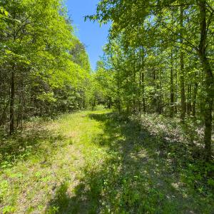 Photo #18 of Lot-4 - Off Wilson Road, Providence, NC 5.7 acres