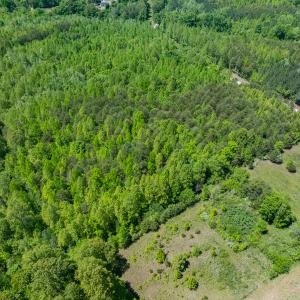 Photo #21 of Lot-4 - Off Wilson Road, Providence, NC 5.7 acres