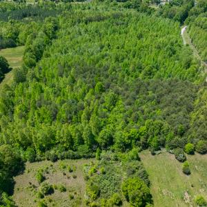 Photo #23 of Lot-4 - Off Wilson Road, Providence, NC 5.7 acres