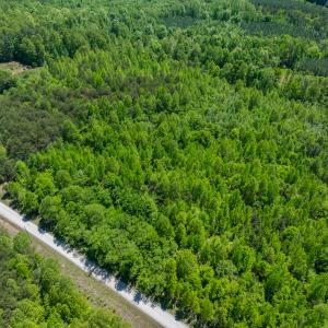 Photo #24 of Lot-4 - Off Wilson Road, Providence, NC 5.7 acres