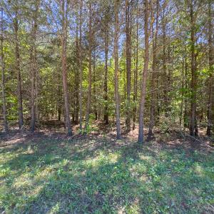 Photo #30 of Lot-4 - Off Wilson Road, Providence, NC 5.7 acres