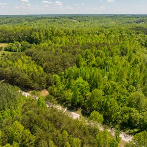 Photo #34 of Lot-4 - Off Wilson Road, Providence, NC 5.7 acres