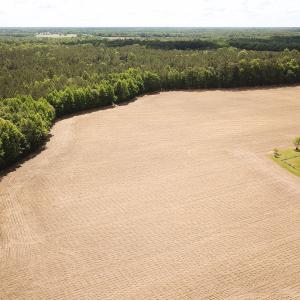 Photo #13 of Off Bobcat Ln, Franklin, VA 30.0 acres