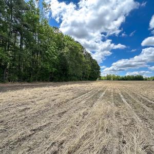 Photo #14 of Off Bobcat Ln, Franklin, VA 30.0 acres