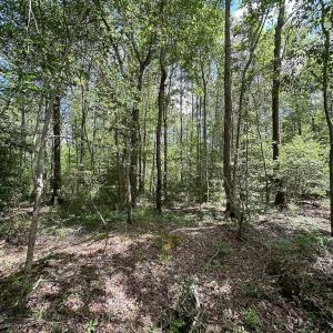 Photo #15 of Off Bobcat Ln, Franklin, VA 30.0 acres