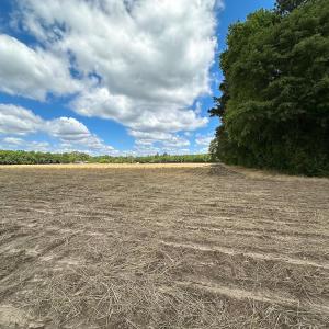 Photo #18 of Off Bobcat Ln, Franklin, VA 30.0 acres