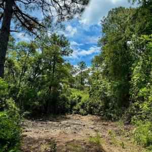 Photo #4 of Off Dunbar Canal Rd - Lot #44, Currituck, NC 60.0 acres