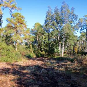 Photo #7 of Off Dunbar Canal Rd - Lot #44, Currituck, NC 60.0 acres