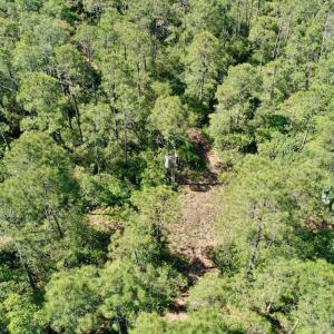 Photo #17 of Off Dunbar Canal Rd - Lot #44, Currituck, NC 60.0 acres