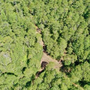 Photo #19 of Off Dunbar Canal Rd - Lot #44, Currituck, NC 60.0 acres