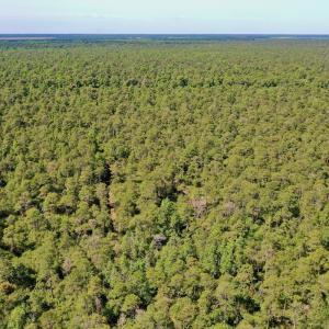 Photo #26 of Off Dunbar Canal Rd - Lot #44, Currituck, NC 60.0 acres