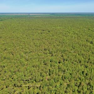 Photo #38 of Off Dunbar Canal Rd - Lot #44, Currituck, NC 60.0 acres