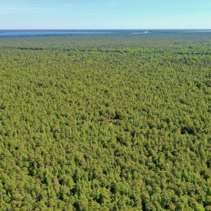 Photo #40 of Off Dunbar Canal Rd - Lot #44, Currituck, NC 60.0 acres