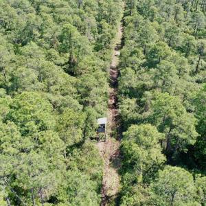 Photo #12 of Off Dunbar Canal Rd - Lot #44, Currituck, NC 60.0 acres