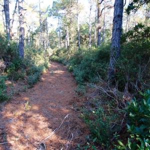 Photo #45 of Off Dunbar Canal Rd - Lot #44, Currituck, NC 60.0 acres
