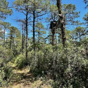 Photo #47 of Off Dunbar Canal Rd - Lot #44, Currituck, NC 60.0 acres