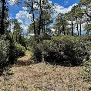 Photo #48 of SOLD property in Off Dunbar Canal Rd - Lot #44, Currituck, NC 60.0 acres
