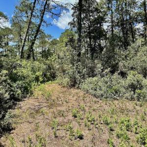 Photo #50 of Off Dunbar Canal Rd - Lot #44, Currituck, NC 60.0 acres