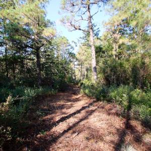 Photo #53 of Off Dunbar Canal Rd - Lot #44, Currituck, NC 60.0 acres