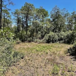 Photo #56 of SOLD property in Off Dunbar Canal Rd - Lot #44, Currituck, NC 60.0 acres