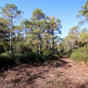 Photo #58 of Off Dunbar Canal Rd - Lot #44, Currituck, NC 60.0 acres