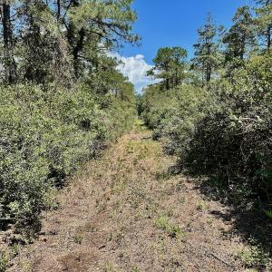 Photo #60 of Off Dunbar Canal Rd - Lot #44, Currituck, NC 60.0 acres
