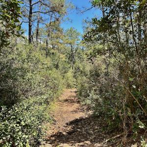 Photo #67 of Off Dunbar Canal Rd - Lot #44, Currituck, NC 60.0 acres