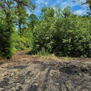 Photo #70 of SOLD property in Off Dunbar Canal Rd - Lot #44, Currituck, NC 60.0 acres