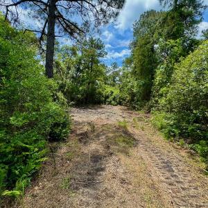 Photo #72 of Off Dunbar Canal Rd - Lot #44, Currituck, NC 60.0 acres