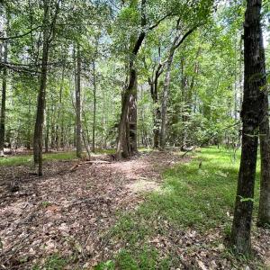 Photo #12 of Off Bobcat Ln, Franklin, VA 55.0 acres