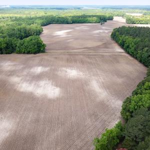 Photo #8 of Off Bobcat Ln, Franklin, VA 71.0 acres