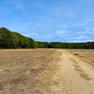 Photo #19 of Off Kegotank Rd, Nelsonia, VA 93.0 acres