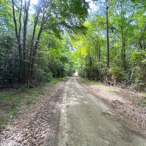 Photo #20 of Off Kegotank Rd, Nelsonia, VA 93.0 acres