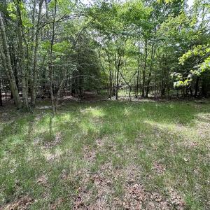 Photo #22 of Off Kegotank Rd, Nelsonia, VA 93.0 acres