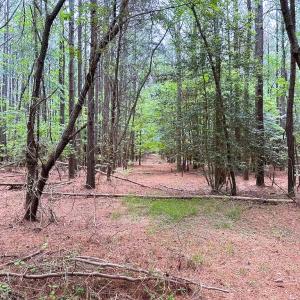 Photo #24 of Off Kegotank Rd, Nelsonia, VA 93.0 acres