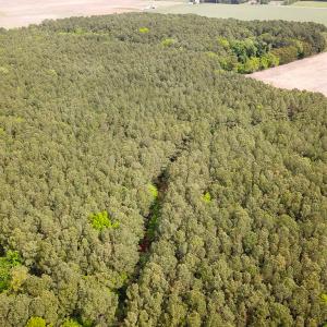 Photo #25 of Off Kegotank Rd, Nelsonia, VA 93.0 acres