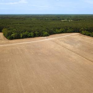 Photo #29 of Off Kegotank Rd, Nelsonia, VA 93.0 acres