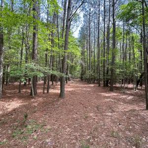 Photo #30 of Off Kegotank Rd, Nelsonia, VA 93.0 acres