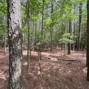 Photo #32 of Off Kegotank Rd, Nelsonia, VA 93.0 acres