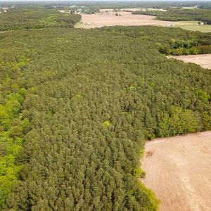 Photo #33 of Off Kegotank Rd, Nelsonia, VA 93.0 acres