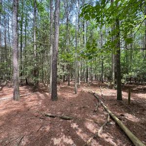 Photo #34 of Off Kegotank Rd, Nelsonia, VA 93.0 acres