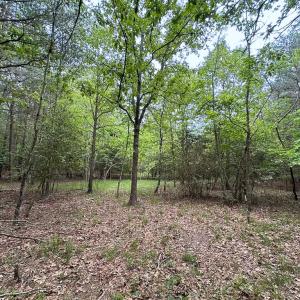 Photo #36 of Off Kegotank Rd, Nelsonia, VA 93.0 acres